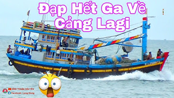 🔴 Cận Cảnh Ghe Giã Cào Siêu To Lagi Ra Khơi || Bình Thuận Dấu Yêu