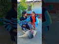 kutta kisko bola #funny #youtubeshorts #viral #funnyvideos #funnydogs #youtube #subscribe #like