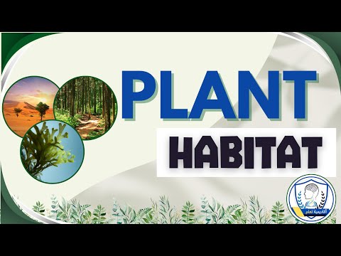 Plant Habitats |