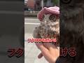 フクロウを助けたら#動物 #動物のいる暮らし #フクロウ