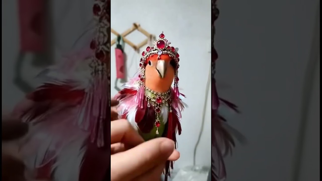 #comdeymemes #funnymemes #funny #memehub #funnypictures #comedy #memeclip #love #funnyimages