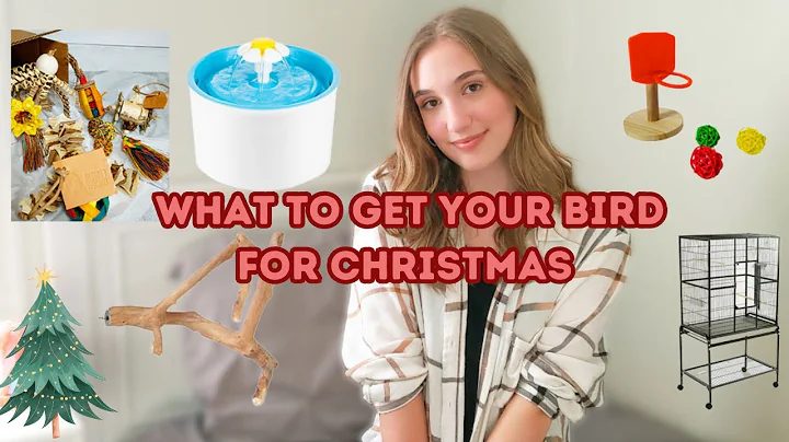 Christmas Gift Ideas | For Parrot lovers + What To Get Your Bird For Christmas
