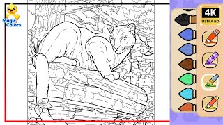 Coloring A Picture Of A Big Cat That Lives In The Mountains, Puma | Magic Colors