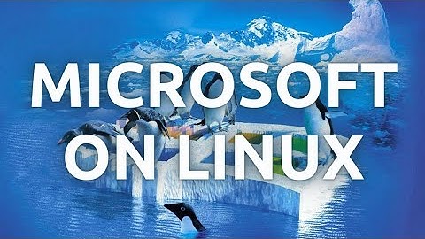 "How to Install and Use Microsoft Software On Linux - Complete Guide"