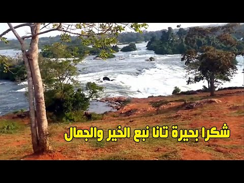 شكرا بحيرة تانا نبع الخير والجمال