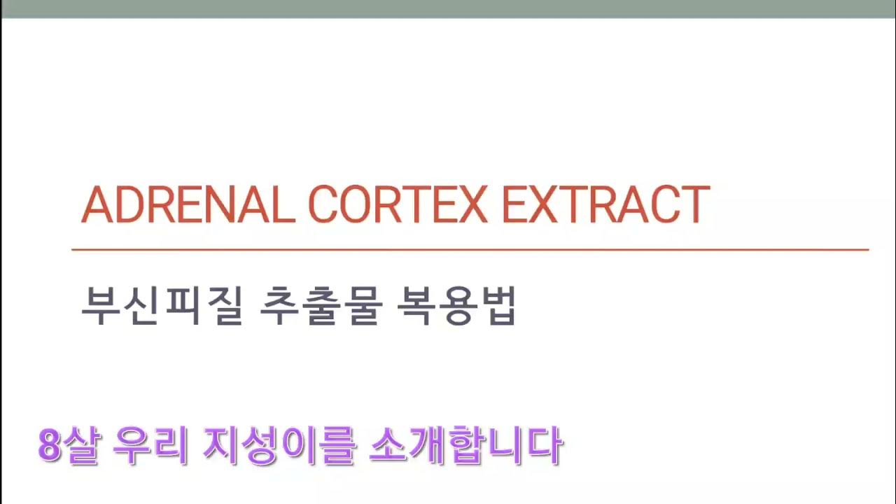 Adrenal Cortex Extract(ACE)부신피질 추출물 복용법. ACC에서는 필수!!!! /8살 우리 지성이를 소개합니다. /자폐스펙트럼 발달장애 자폐
