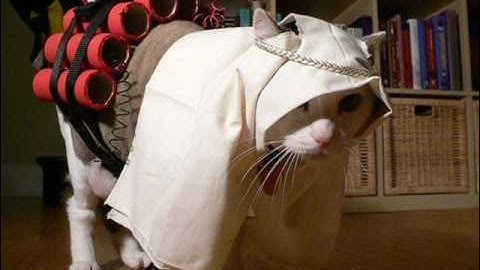 Mc Plus+  - Ascii Antics