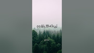 قَالَ رَبِّ إِنِّي دَعَوْتُ قَوْمِي لَيْلًا وَنَهَارًا - ماهر المعيقلي - سورة نوح .