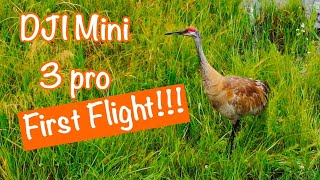 Dji Mini 3 Pro First Flight by MJA doing stuff 346 views 1 year ago 11 minutes, 58 seconds