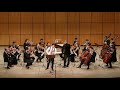 Geraldine Green: Concerto for Bass Clarinet & String Orchestra - Camerata Venia