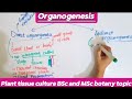 Organogenesis|Plant tissue culture|Bsc and MSc botany topic. #tissueculture