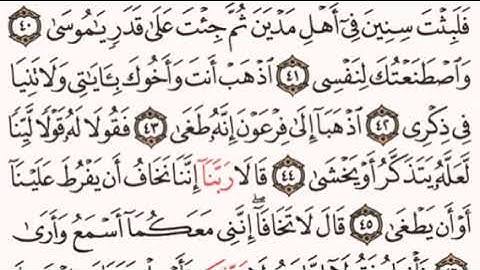 الصفحة رقم 314 الشيخ ماهر المعيقلي - القرآن الكريم - Quran