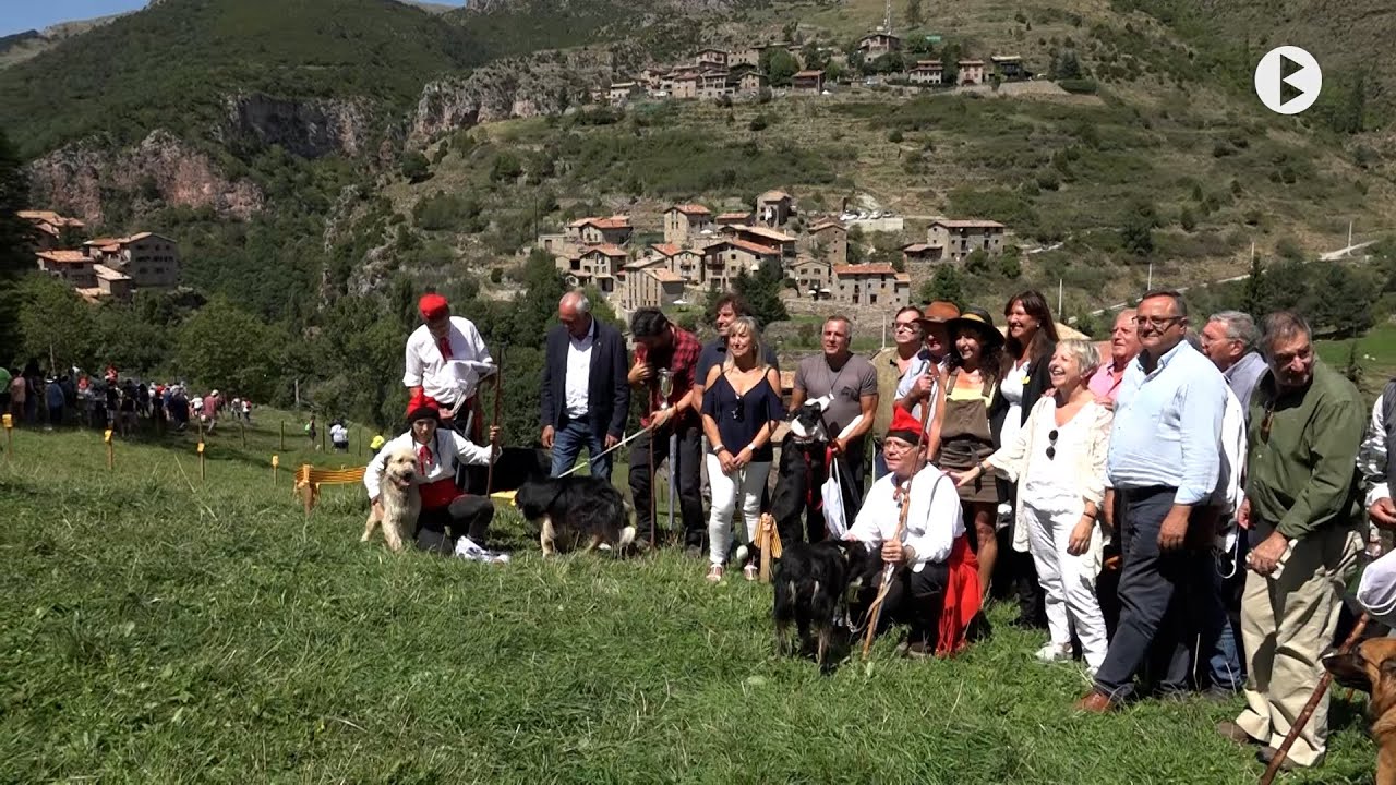 Castellar de N'Hug, 58 è Concurs Internacional de Gossos d'Atura 2022.