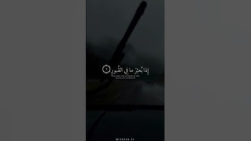 اكتب شي تؤجر عليه 🤍 | القارئ عبدالرحمن مسعد | قرآن كريم