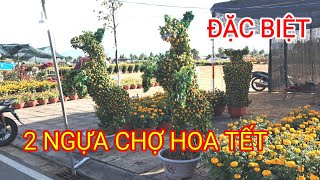 Đặc biệt 2 ngựa chơ hoa tết kon tum