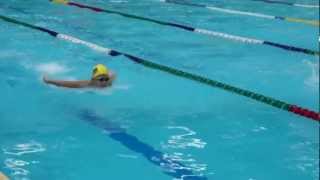 50M 蝶式