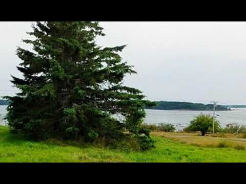 4 Lower High ST, Eastport, ME home video tour