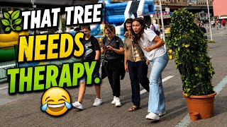 Bushman Prank This Plant Pays No Taxes.