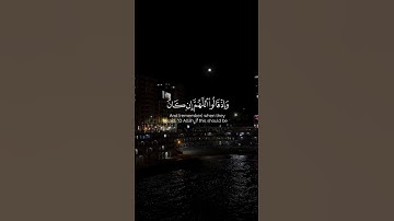 وما كان الله ليعذبهم وأنت فيهم || القارئ عبدالرحمن الزواوي - سورة الأنفال