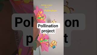 Biology project Idea. Self and Cross pollination model#school #highschoolbiology #science