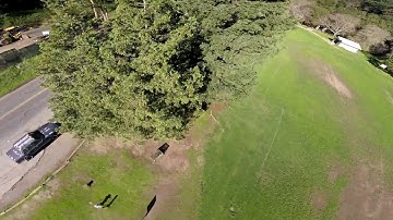 Another park edit betaflight on revolt v2