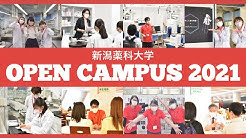 新潟薬科大学 公式 Youtube 新潟薬科大学 公式 Youtube