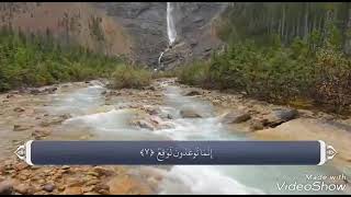картинка: Намози Шаб ~3~ Ҳоҷи Мирзо
