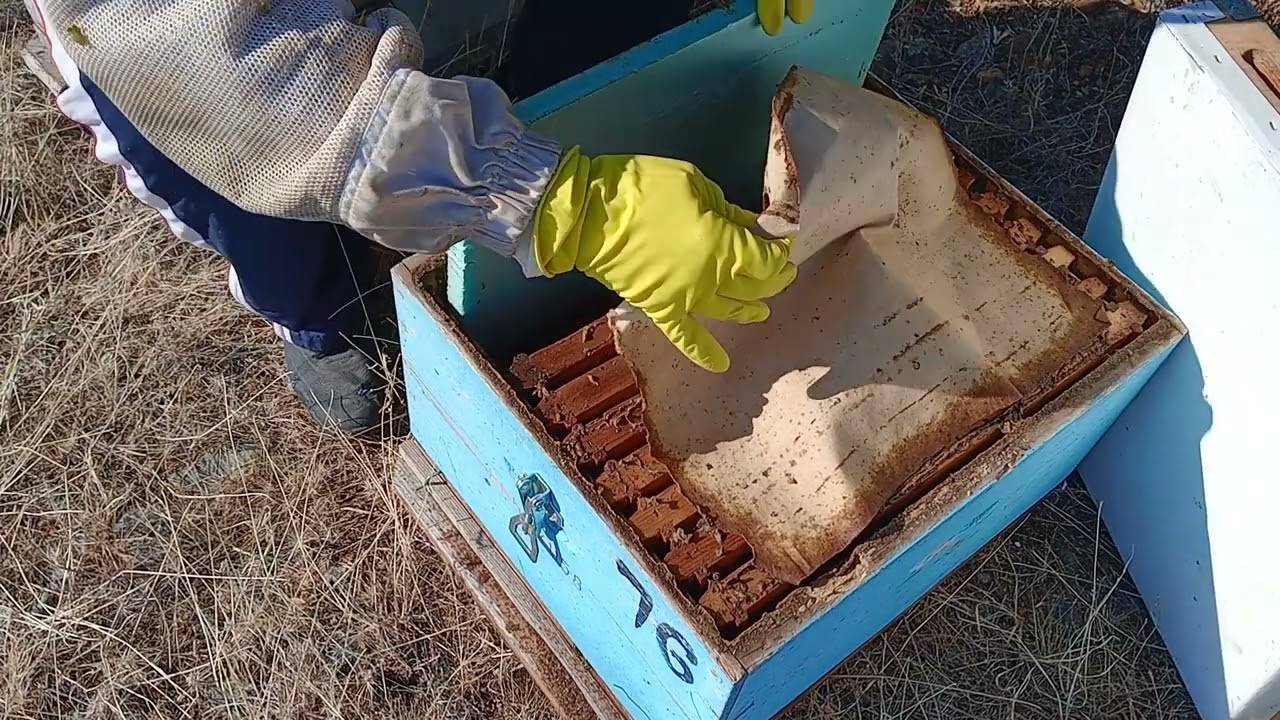 Ξεχειμώνισμα 2024