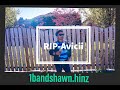 Rip avicii avicii mashup  1bandshawnhinz