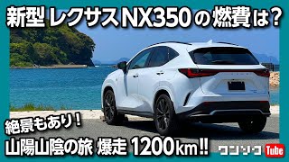 【新型レクサスNXの燃費は?】NX350納車後ロングドライブ!! 山陽山陰の旅 山口〜島根編 | LEXUS NX350 F SPORT 2022