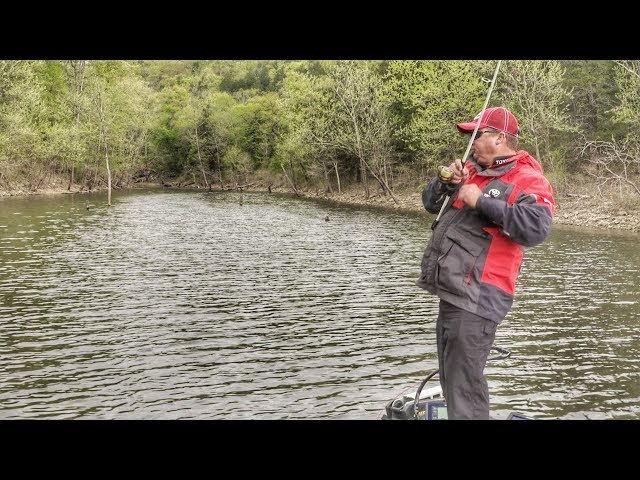 Why You Need a Spinning Rod for Bass Fishing 