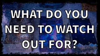✨🦉WHAT DO YOU NEED TO WATCH OUT FOR?👩🏾‍🍼🦝🩼Timeless Pick A Card Tarot Reading