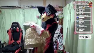 【fursuit/獣化#126】水曜のもふもふタイム🐾【ジュージュー/JuuJuu】#fursuit #獣化 #live