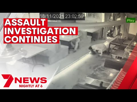 Police continue to investigate attack on Victorian MP’s daughter | 7NEWS