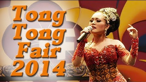 Tong Tong Fair 2014 in The Hague / Den Haag, Netherlands