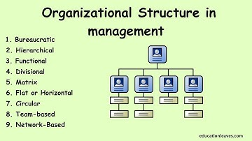 Types of Organizational Structure in management #organizationalstructure