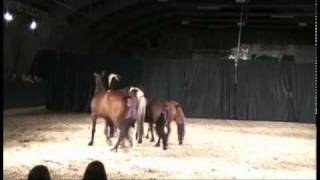 20100501_tanzPferdtanz_2.mp4