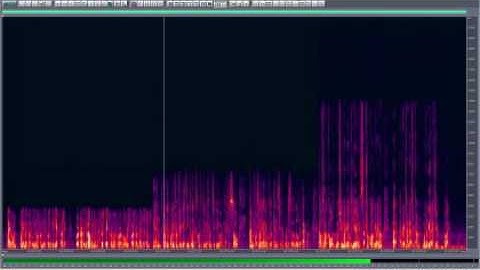 Astricon 2009 HDVoice Michael