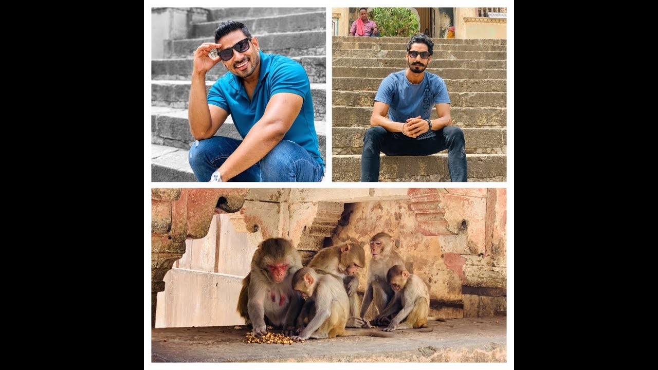 Monkey Temple | Galta ji Jaipur | Travel to Jaipur