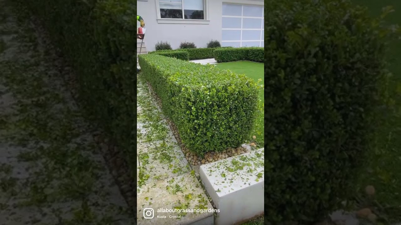 Does Jim's Mowing trim hedges for customers?