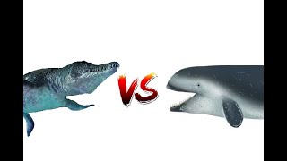 Liopleurodon VS Brygmophyseter discussion