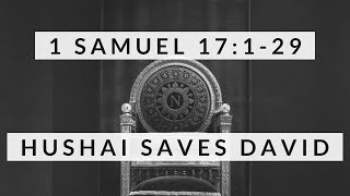2 Samuel 17:1-29: Hushai Saves David