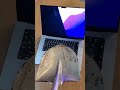【脳がバグる映像】データモッシュ集　#shorts