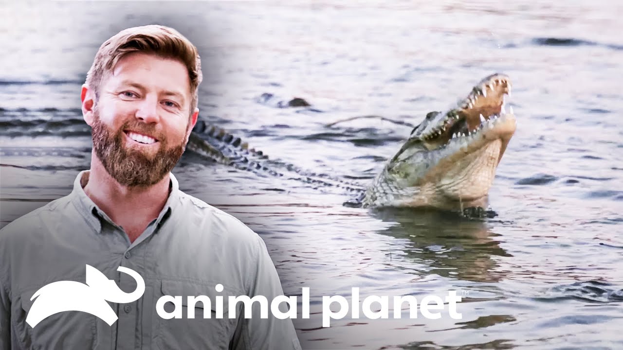 Eles buscam um crocodilo à noite | Criaturas Misteriosas com Forrest Galant | Animal Planet Brasil