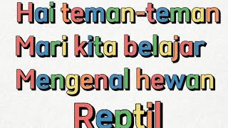 Mengenal hewan Reptil