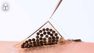 Bacteriën Om Elektriciteit Te Produceren Uit Zweet