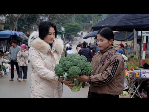 التقت هان على غير المتوقع بفتاة لطيفة في السوق الريفي فملأت هذه اللحظة قلوب الجميع دفئ ا 