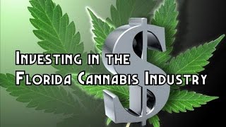 Investing in the Florida Cannabis Industry
