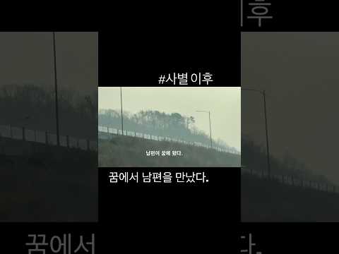 사별 이후 보고싶던 남편을 꿈에서 만났다.#사별