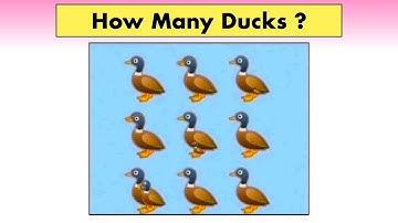 How Many Ducks Are In The Picture ? || Viral Picture Riddle